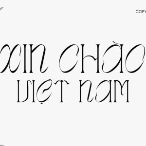 Font Tiếng Việt Deconstructed