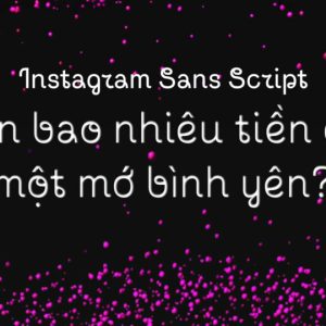 Font Instagram Sans Việt hóa (6 files)
