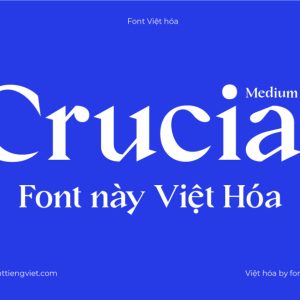 Font Việt hóa 1FTV Crucial Medium ( 2 file )