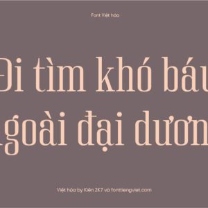 Font Việt hóa 1FTV Rinella Regular