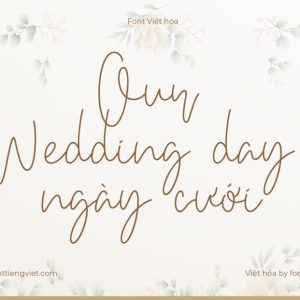 Font Việt hóa 1FTV VIP Bethan White