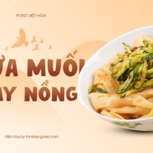 Font Việt hóa 1FTV VIP Moro Baby