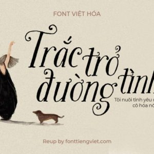 Font việt hóa FS Bookeye Sadie Roman