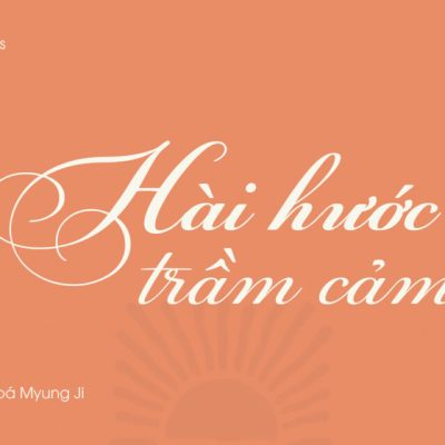Font việt hoá MJ PFChampionScriptPro