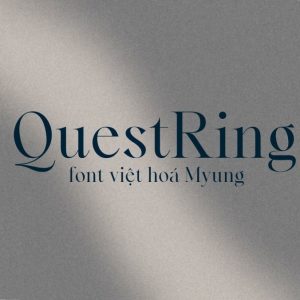 Font việt hoá MJ Quest and Ring