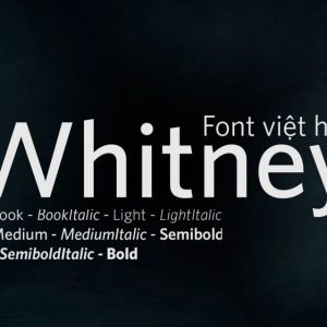 Font việt hóa MJ Whitney