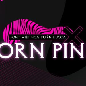 Font việt hóa TP Born Pink