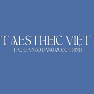Font việt hóa Aesthetic