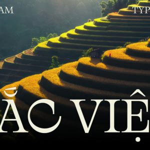 Font Sắc Việt typefaces ( Free to use )