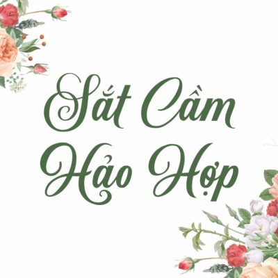 Font Việt hóa VN Sunshine Script
