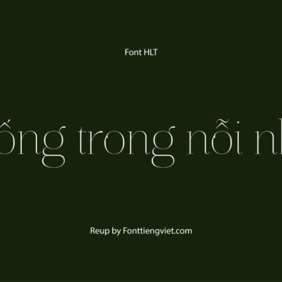 Font Việt hóa HLT Aire Light Pro