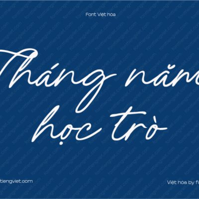 Font Việt hóa 1FTV VIP Amely Shine