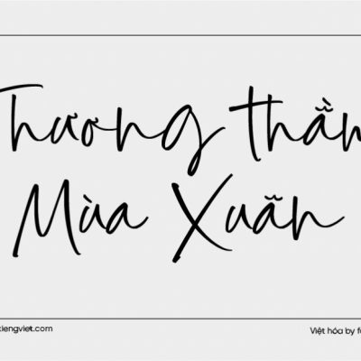 Font Việt hóa 1FTV VIP Apricote Smoothie