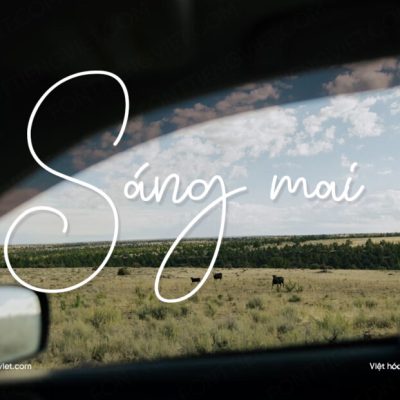 Font Việt hóa 1FTV VIP Daisuke