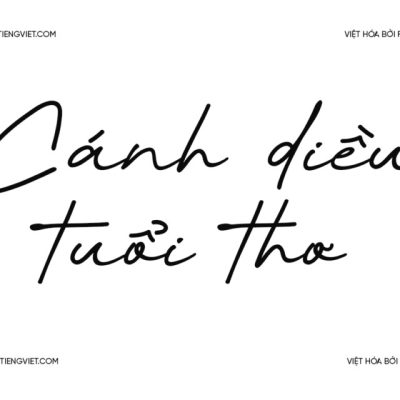 Font Việt hóa 1FTV VIP High Empathy