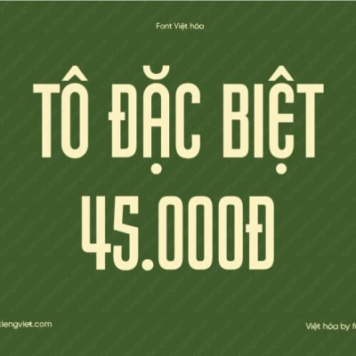 Font Việt hóa 1FTV VIP Pretender