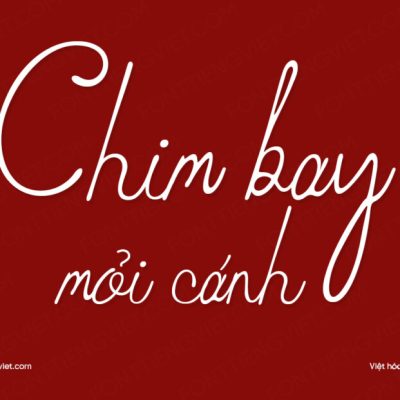 Font Việt hoá 1FTV VIP Ratheylin