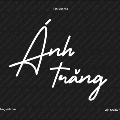 Font Việt hóa 1FTV VIP Tamakion Signature