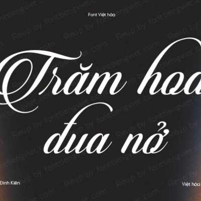 Font Việt hóa UTM Candlescript Pro