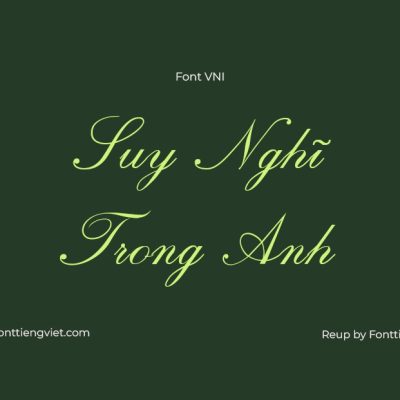 Font Việt hoá VNI Script