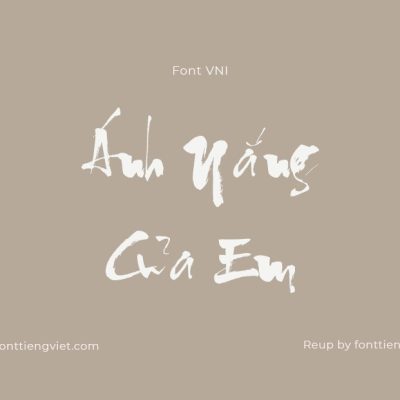 Font Việt hoá VNI Trung Kien