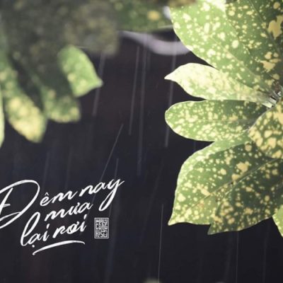 Font việt hóa MTD Simpletune