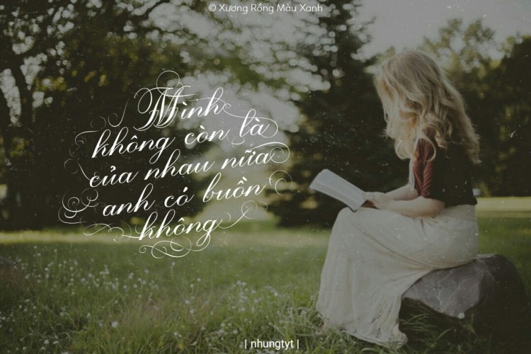 Font viêt hóa MTD The Beauty Blink