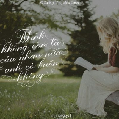 Font viêt hóa MTD The Beauty Blink