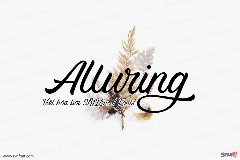 Font việt hóa SVN Alluring