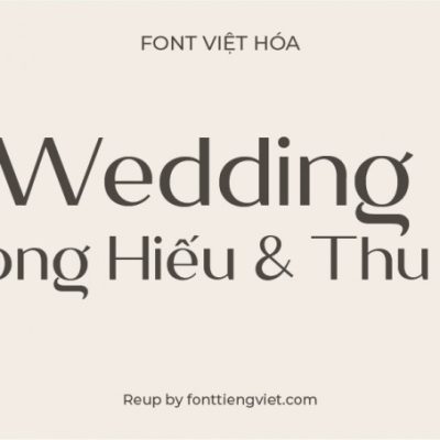 Font việt hoá VL Megante