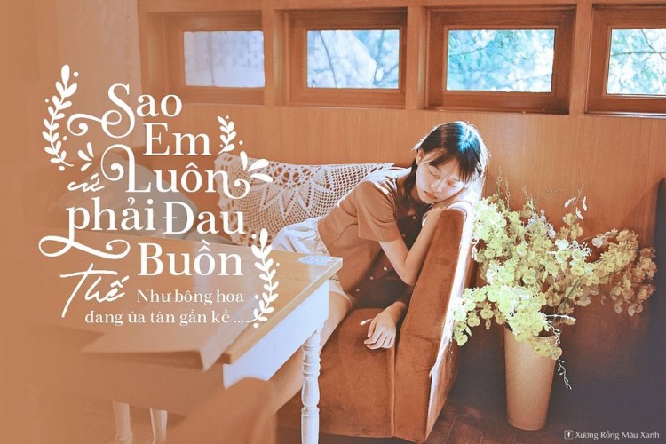 Font việt Hoá HP Monstice (4 font)