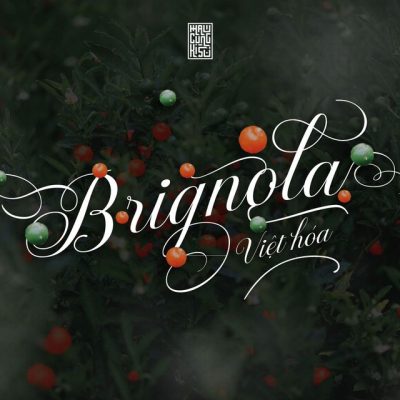 Font Việt hóa MTD Brignola PUA Script
