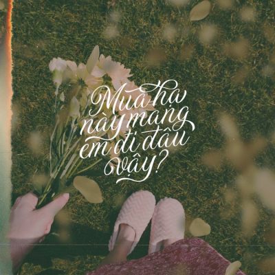 Font việt hóa MTD Daytonia