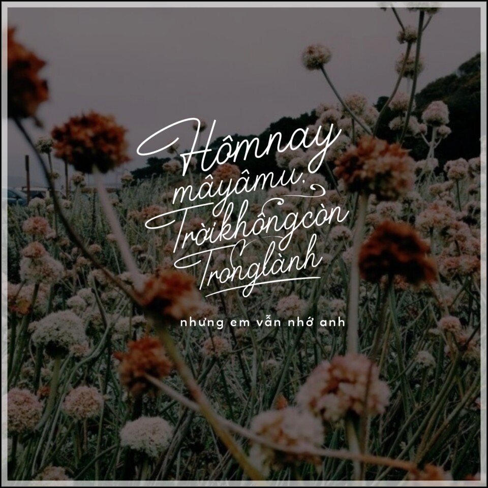 Font việt hóa MTD Houstoner Script