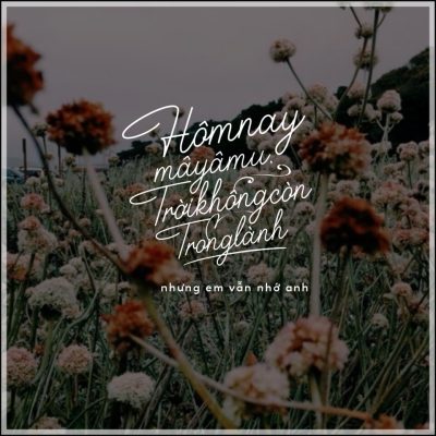 Font việt hóa MTD Houstoner Script