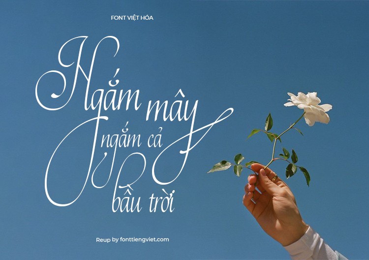 Font việt hóa MTD Fado