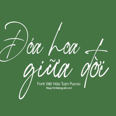 Font Việt hóa TP Rottis Amesty