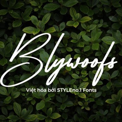 Font việt hóa SVN Blywoofs