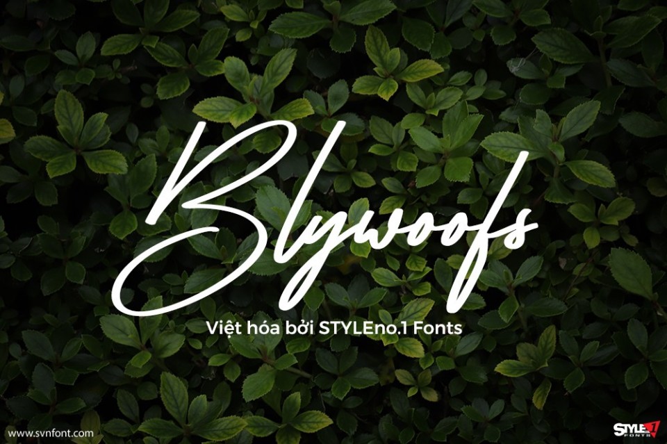 Font việt hóa SVN Blywoofs
